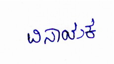 Signature preview
