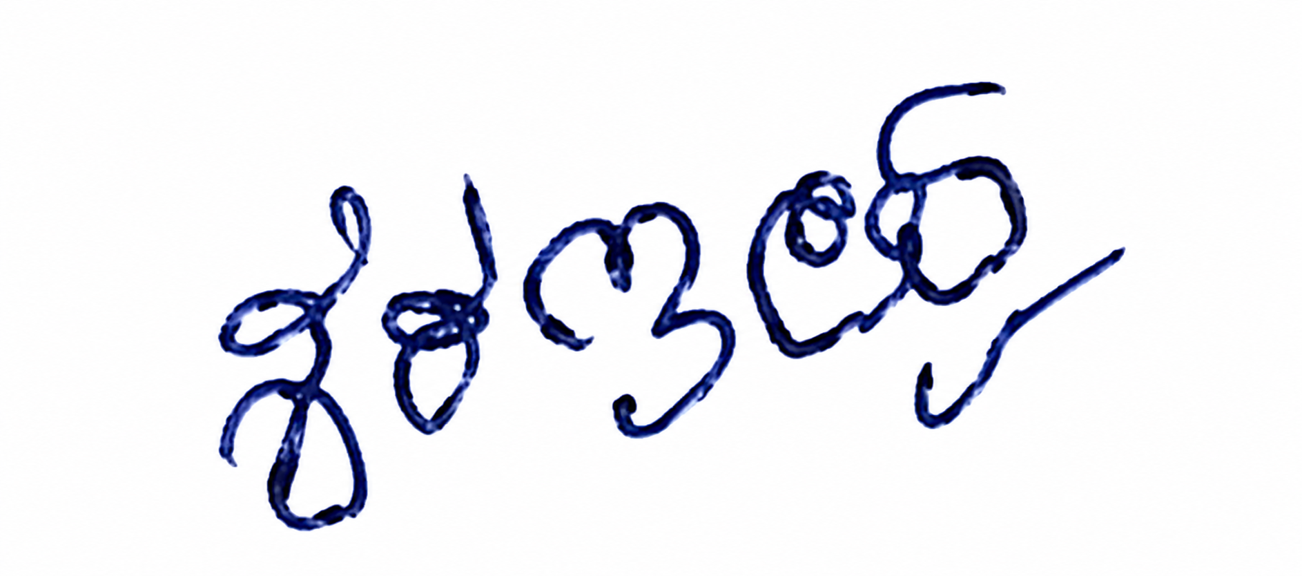 Signature preview