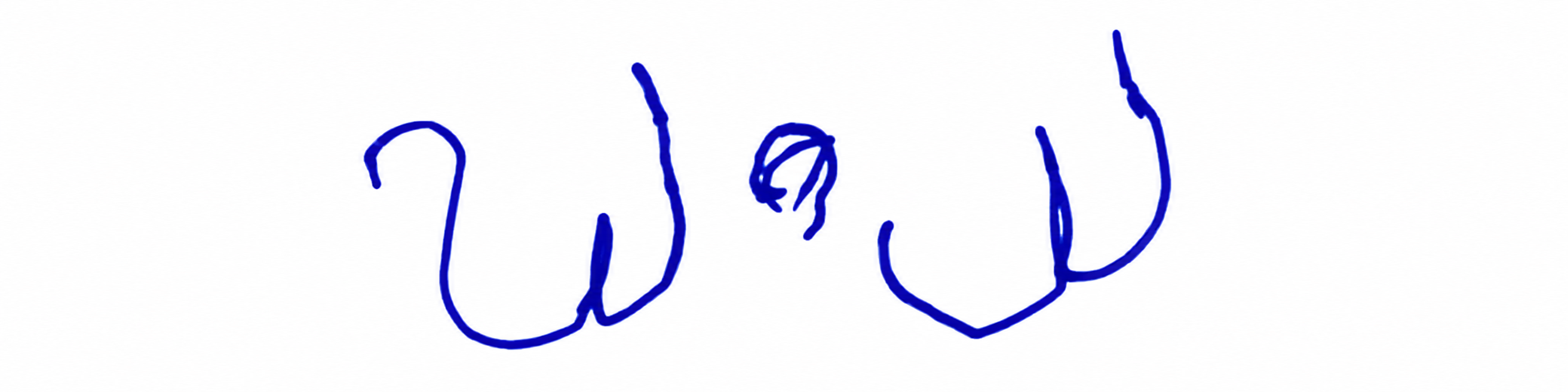 Signature preview