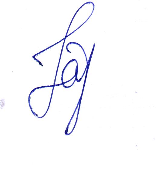 Signature preview