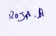Signature preview
