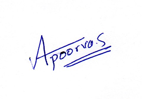 Signature preview