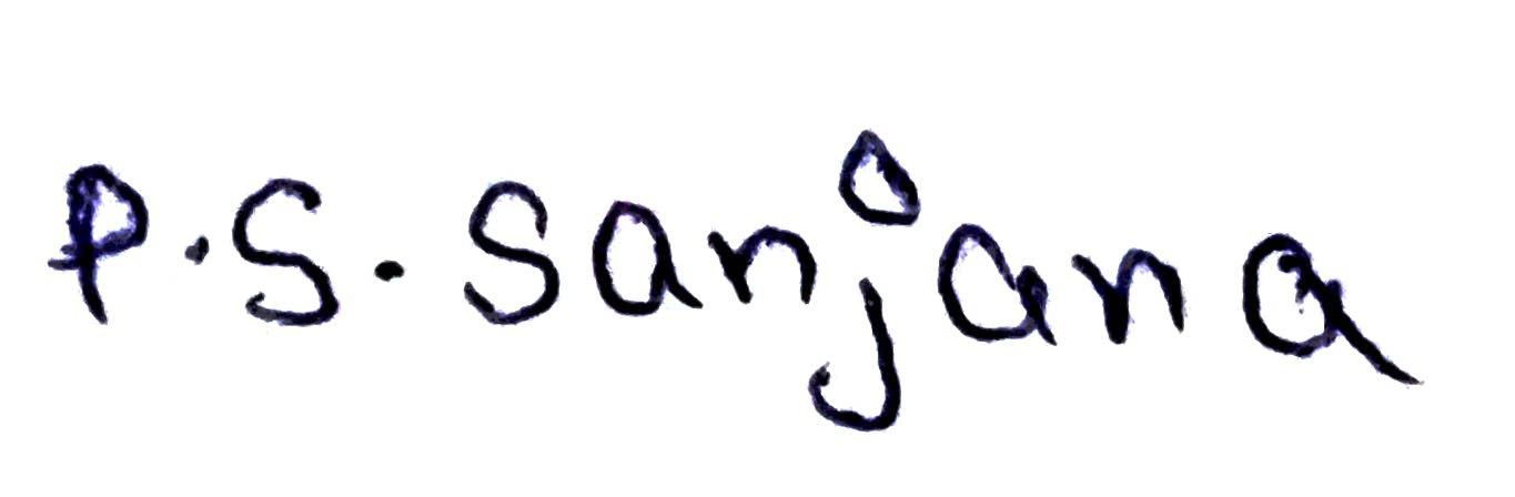Signature preview