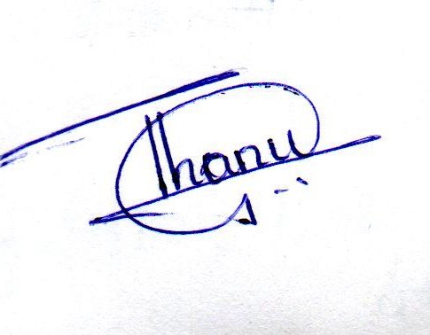 Signature preview