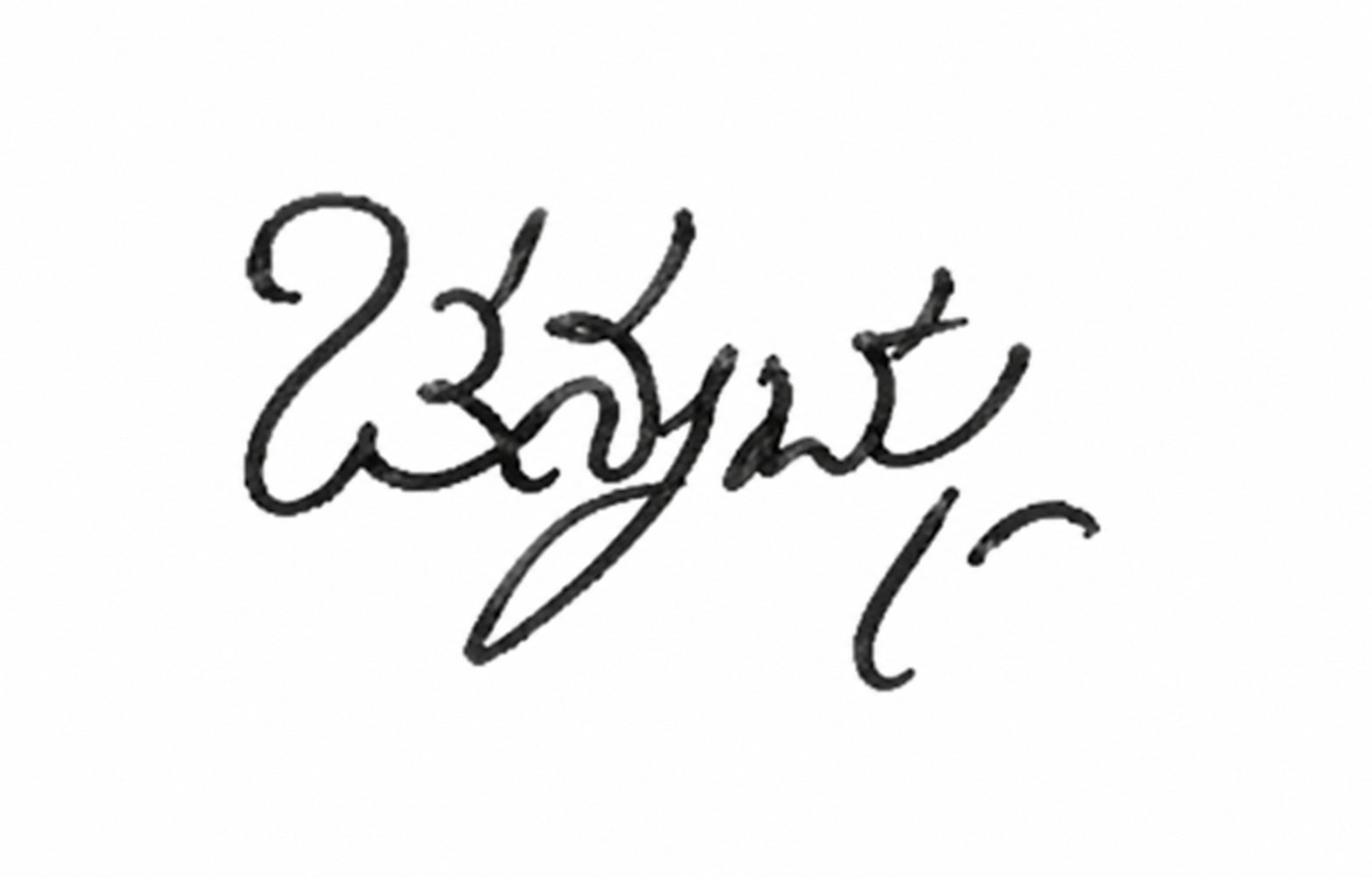 Signature preview