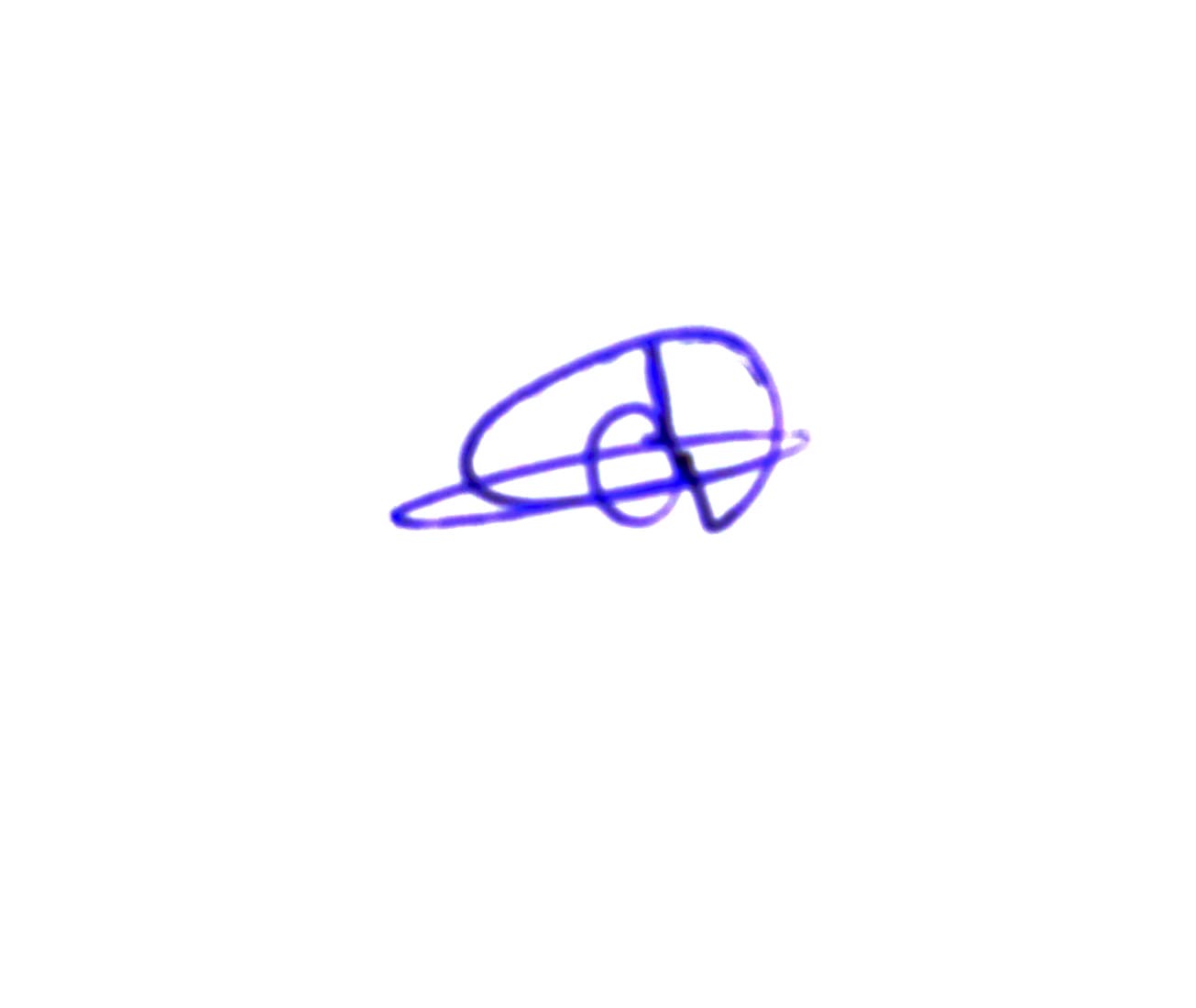 Signature preview