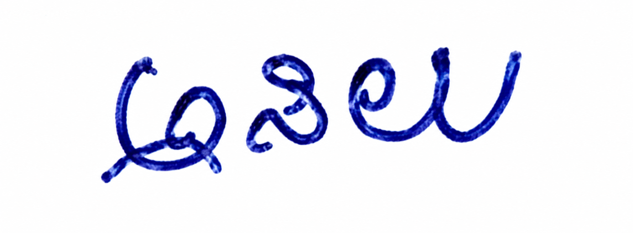 Signature preview