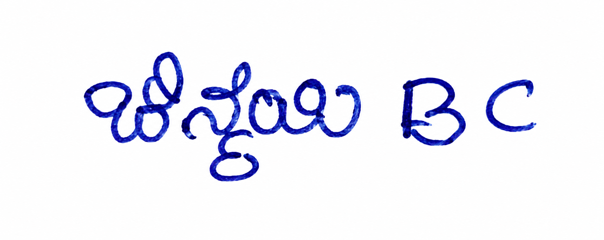 Signature preview
