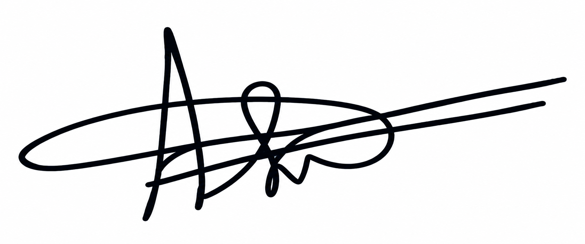 Signature preview