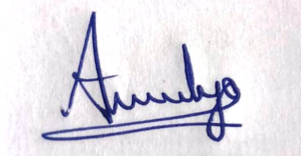 Signature preview