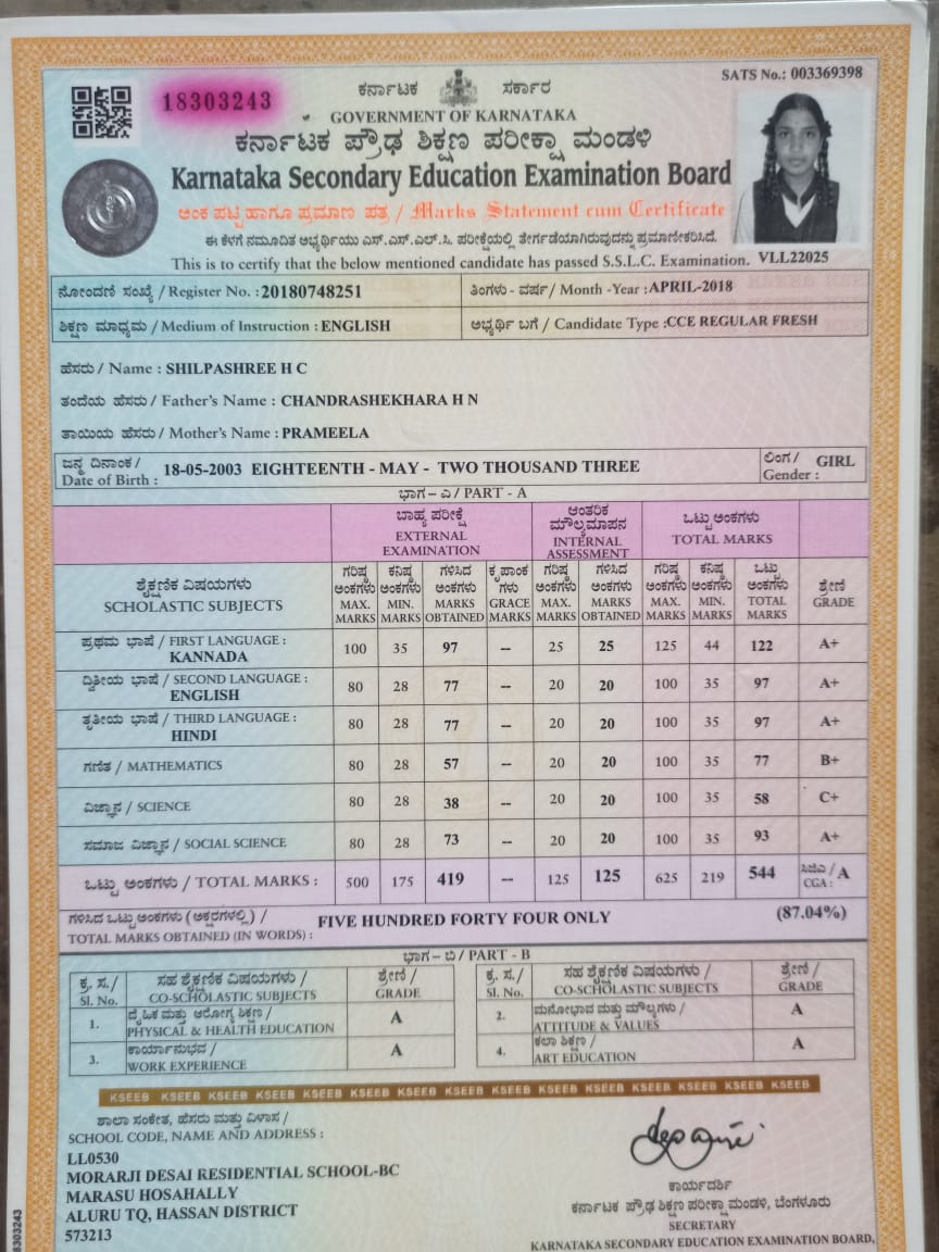 Matriculation certificate or mark sheet of recognised board (In Copy) preview