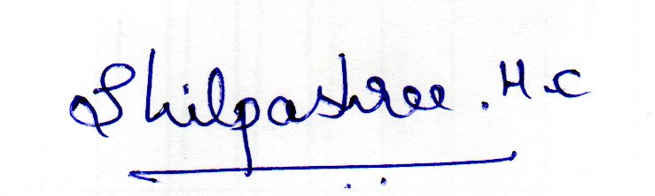 Signature preview