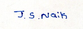 Signature preview