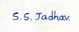 Signature preview