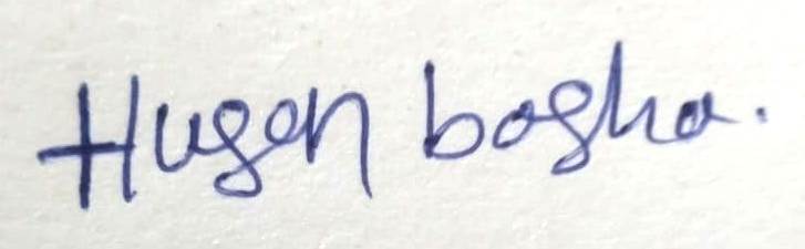 Signature preview