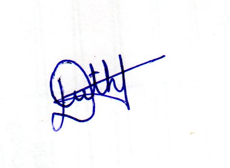 Signature preview