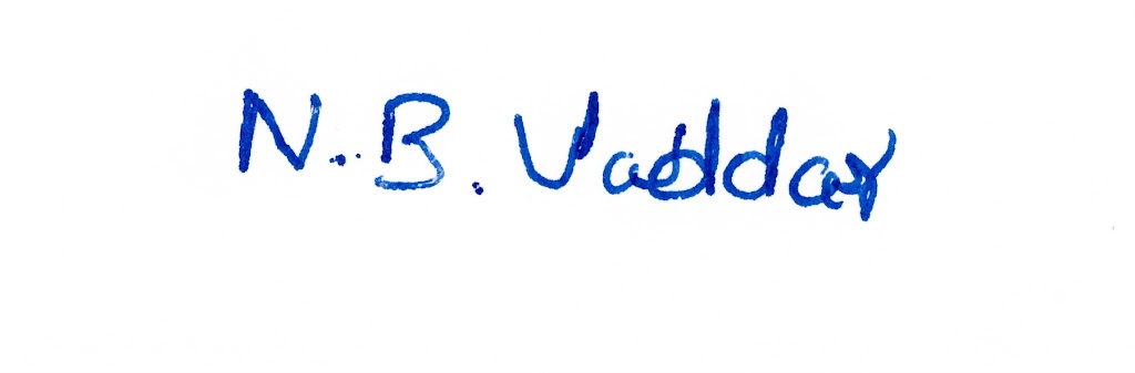 Signature preview