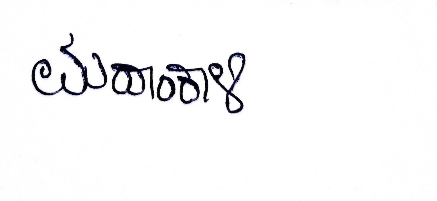 Signature preview