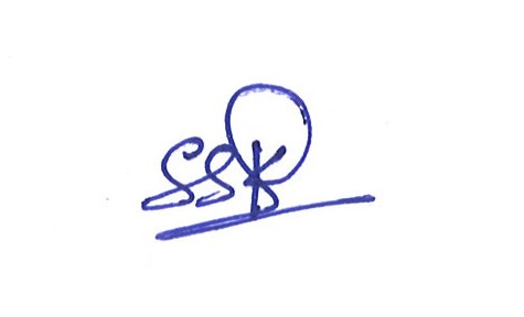 Signature preview
