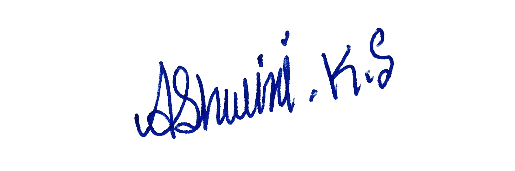 Signature preview