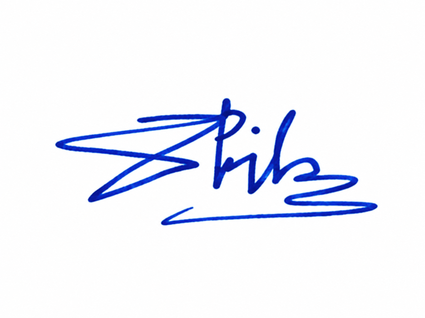 Signature preview