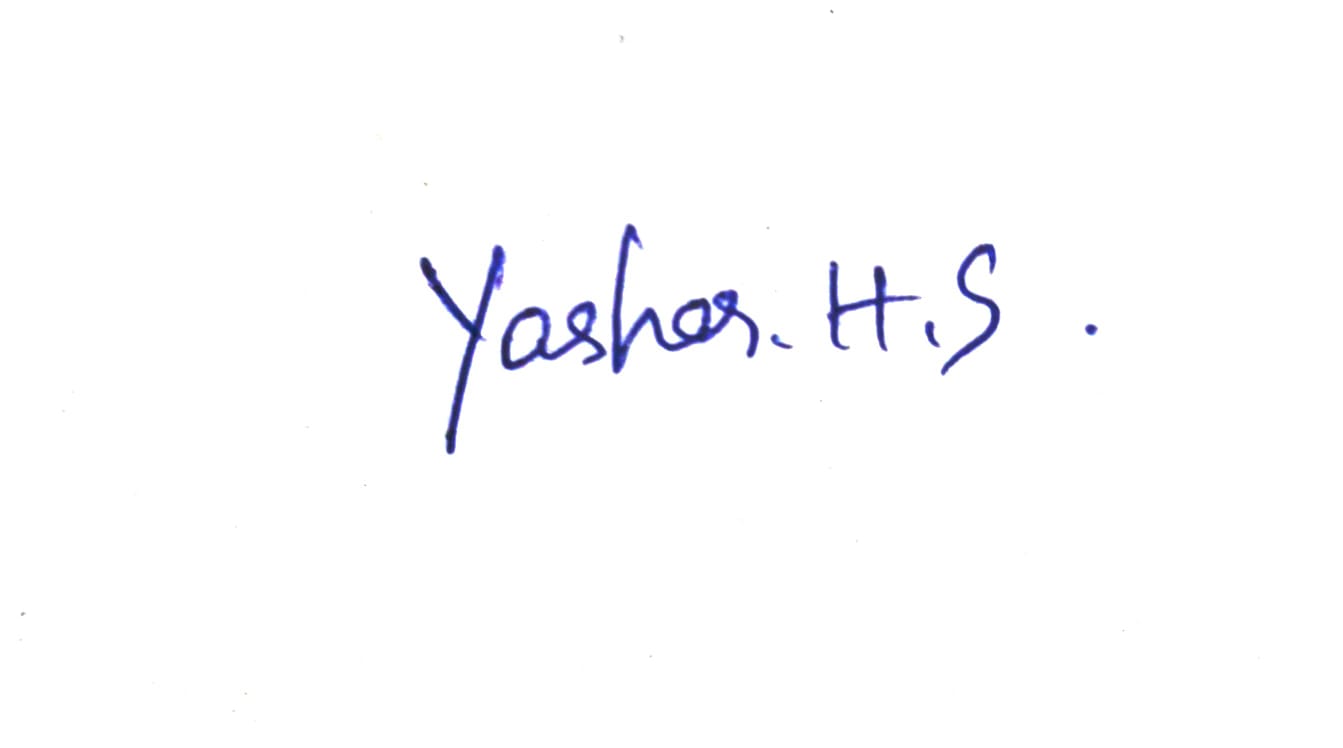 Signature preview