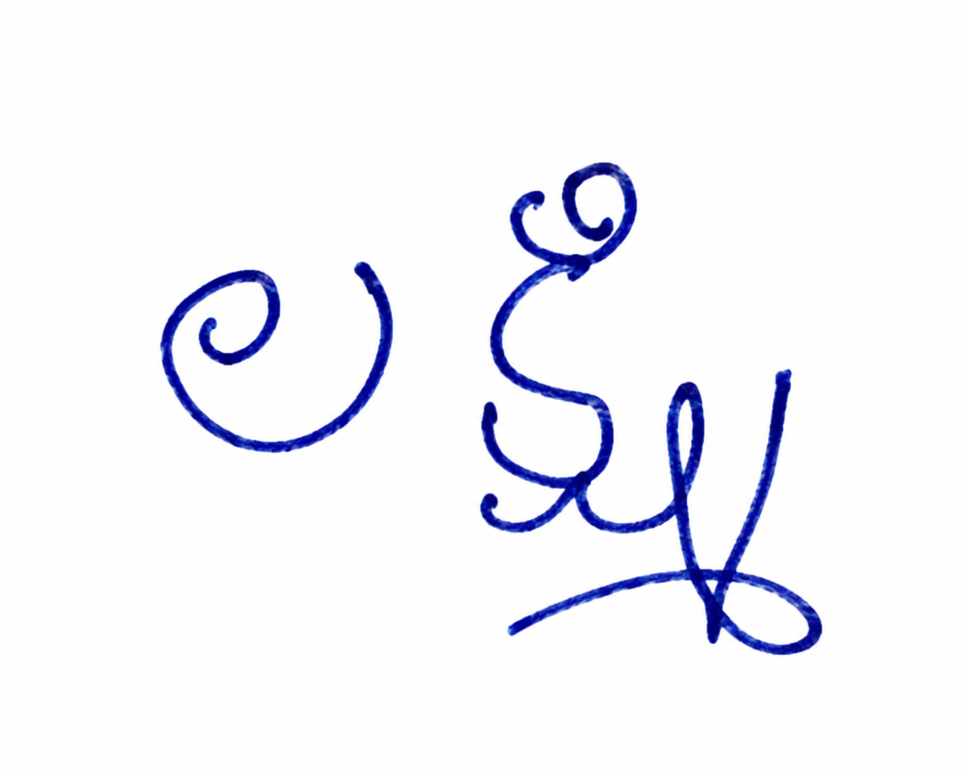 Signature preview