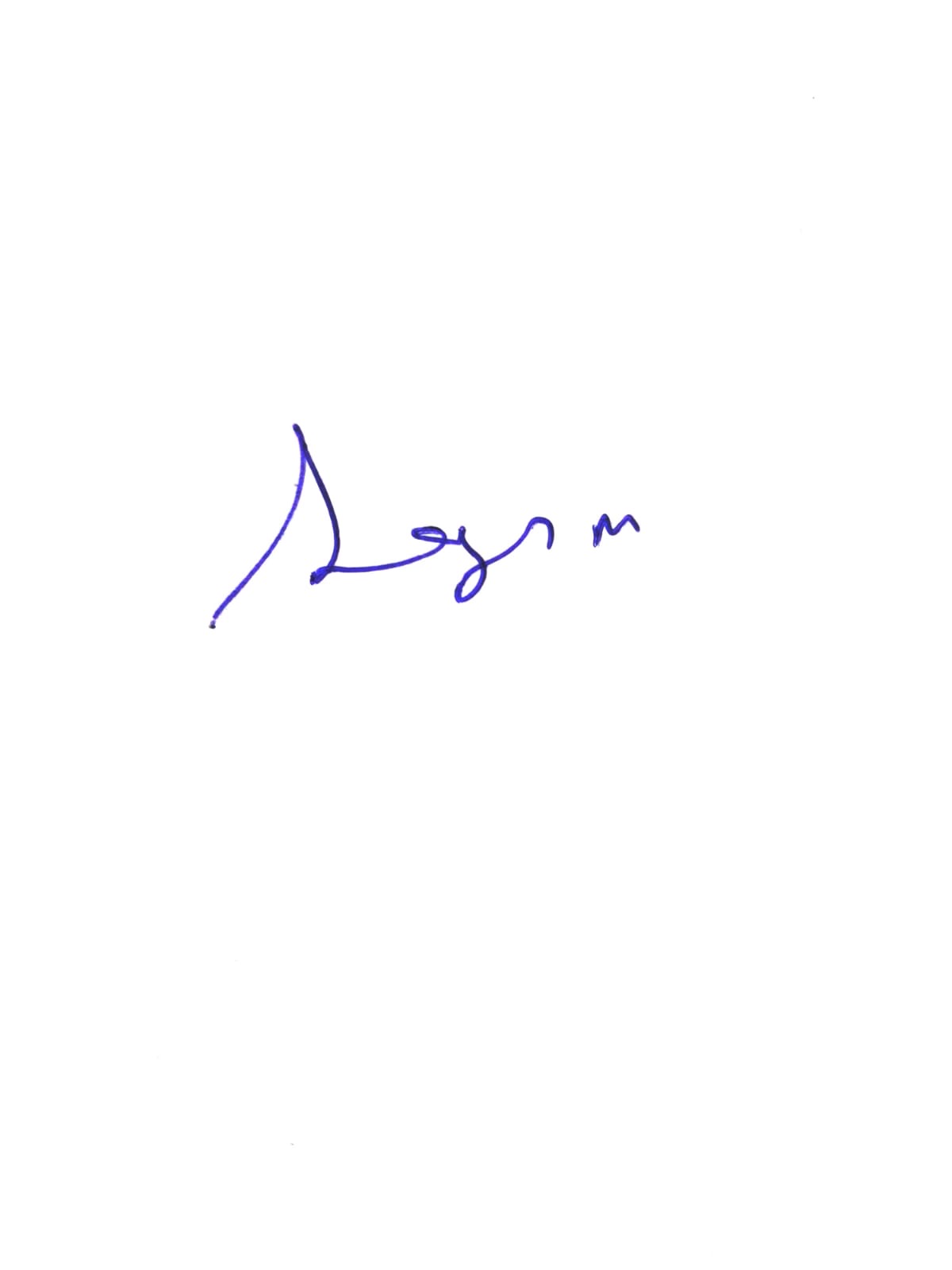Signature preview