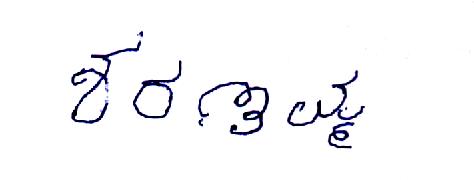 Signature preview