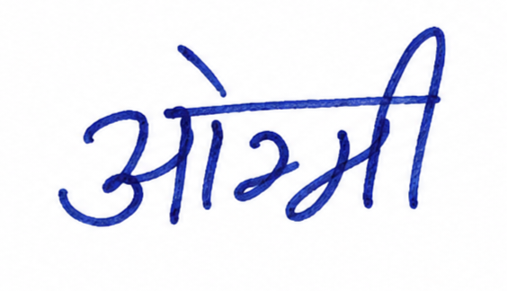 Signature preview