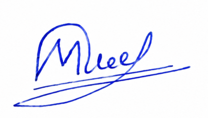 Signature preview