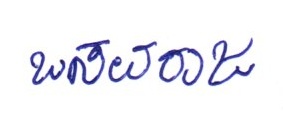 Signature preview
