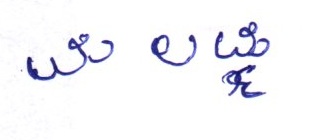 Signature preview