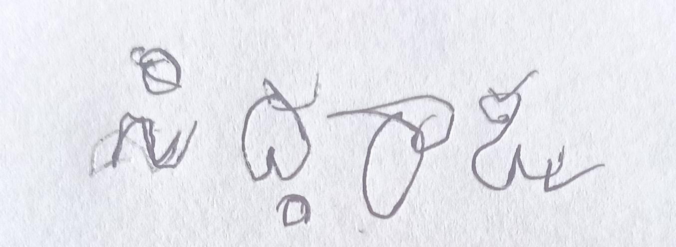 Signature preview