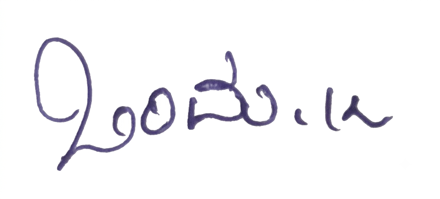 Signature preview