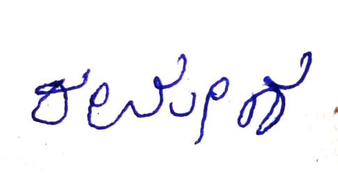 Signature preview