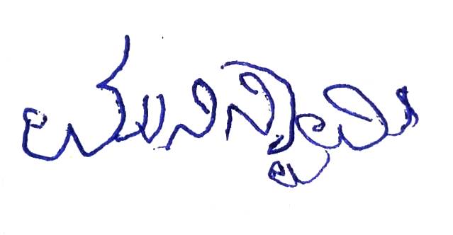 Signature preview