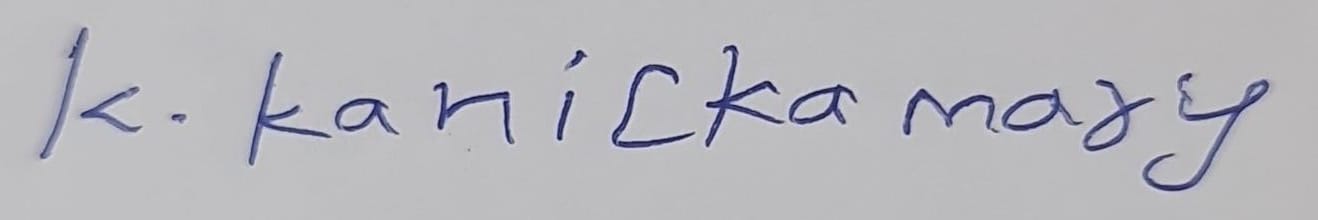 Signature preview