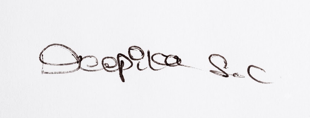 Signature preview