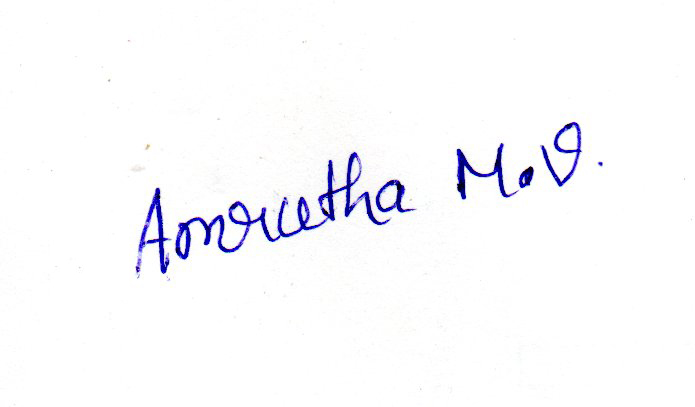 Signature preview