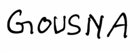 Signature preview