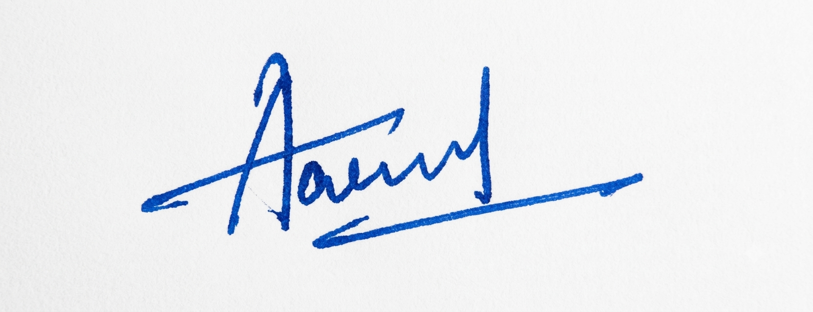 Signature preview