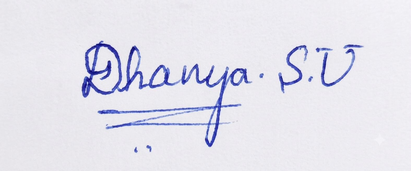 Signature preview