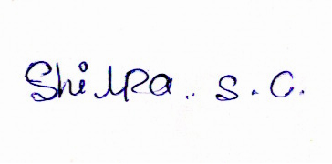 Signature preview