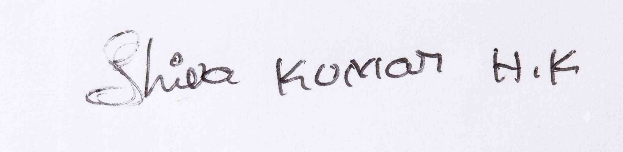 Signature preview