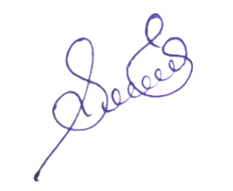 Signature preview