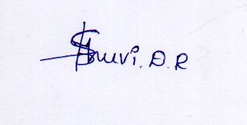Signature preview