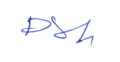 Signature preview