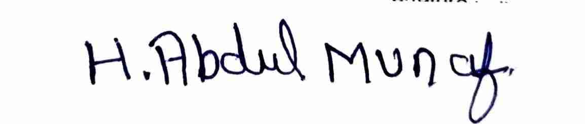 Signature preview