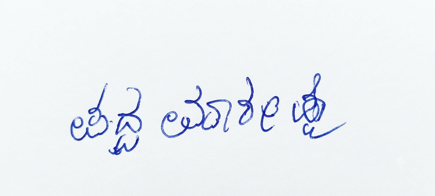 Signature preview